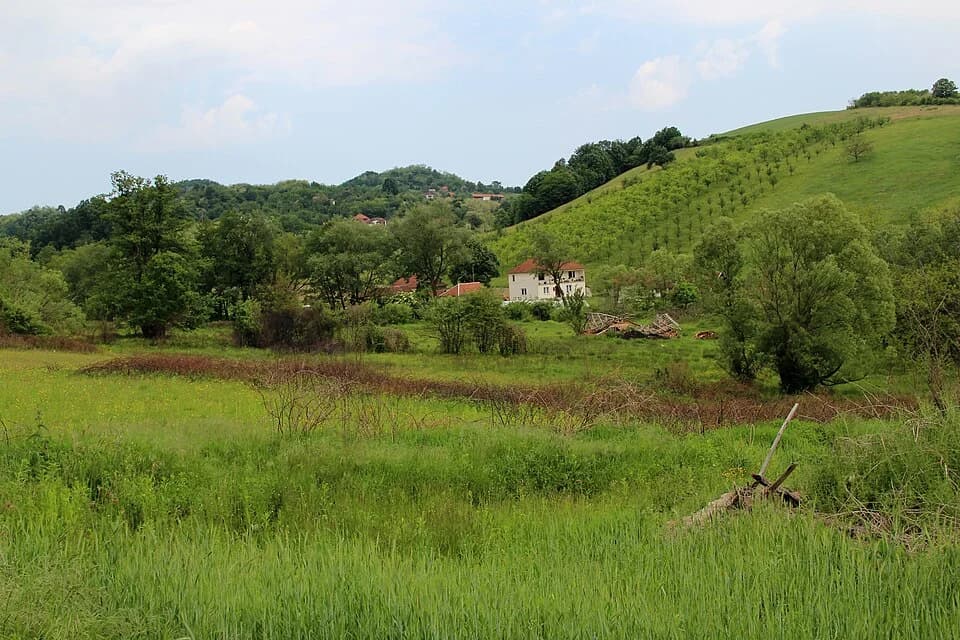 Gornja Bukovica