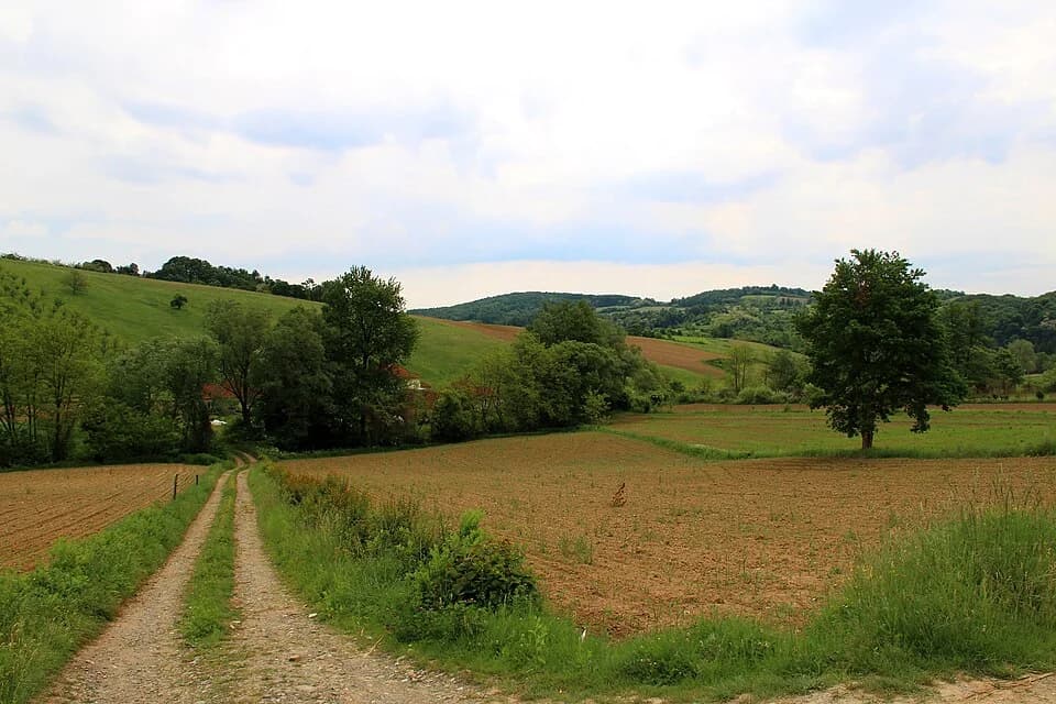 Gornja Bukovica
