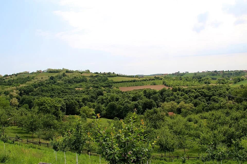 Gornja Bukovica