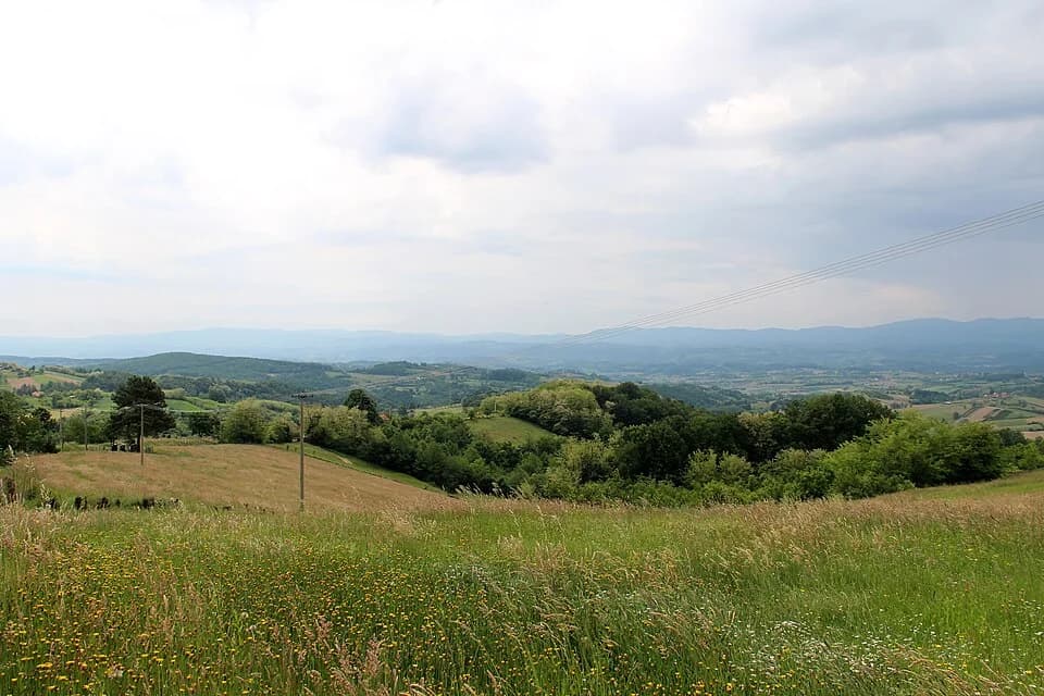 Gornja Bukovica