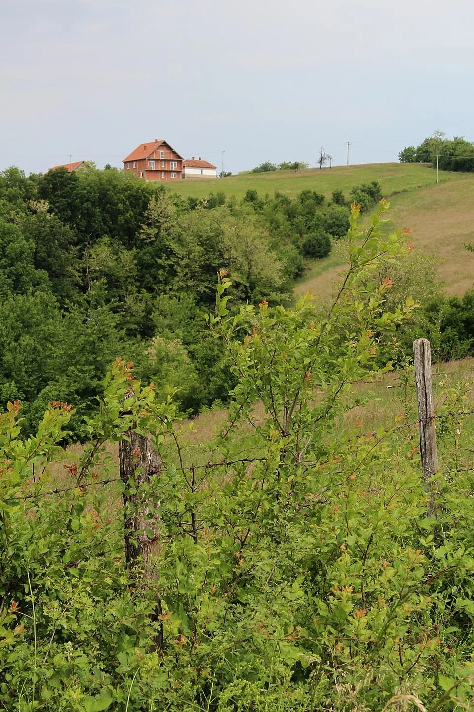 Gornja Bukovica