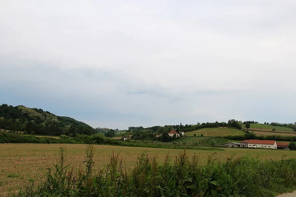 Gornja Bukovica