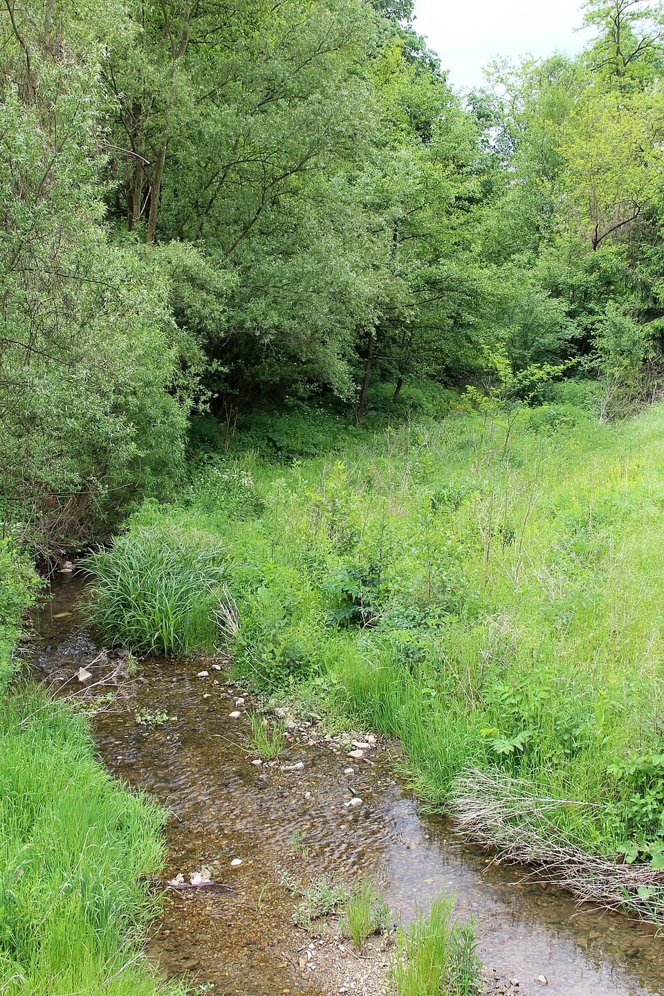 Gornja Bukovica