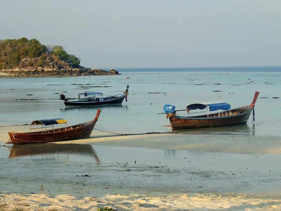 Lipe