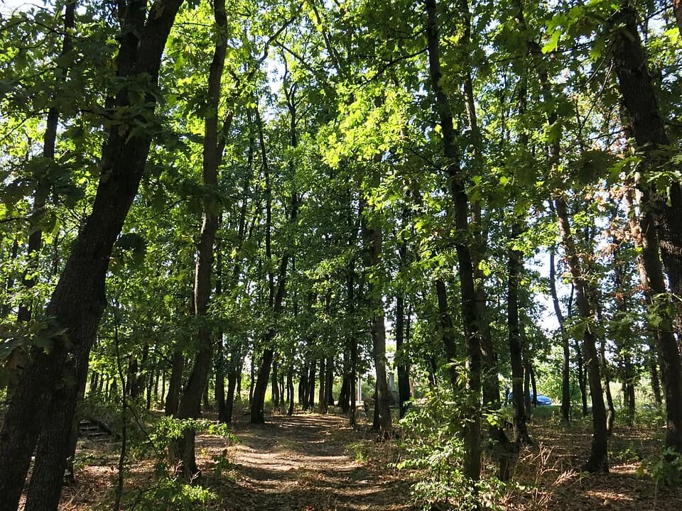 Lunjevac