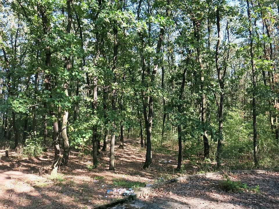 Lunjevac
