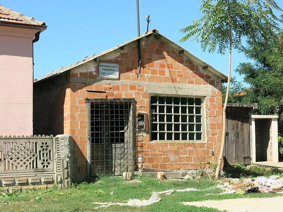 Udovice