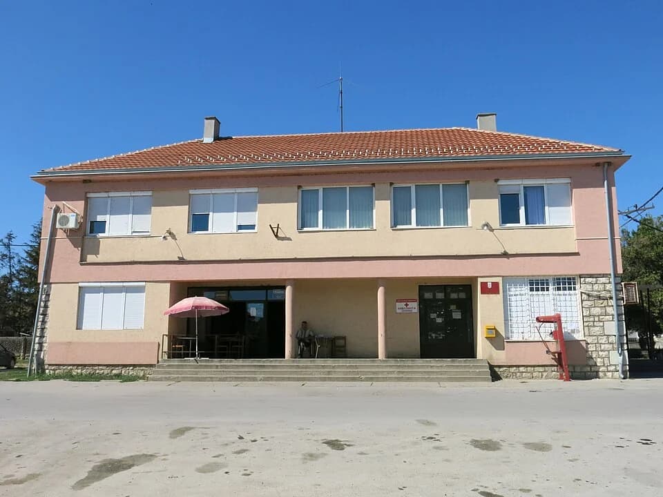 Udovice