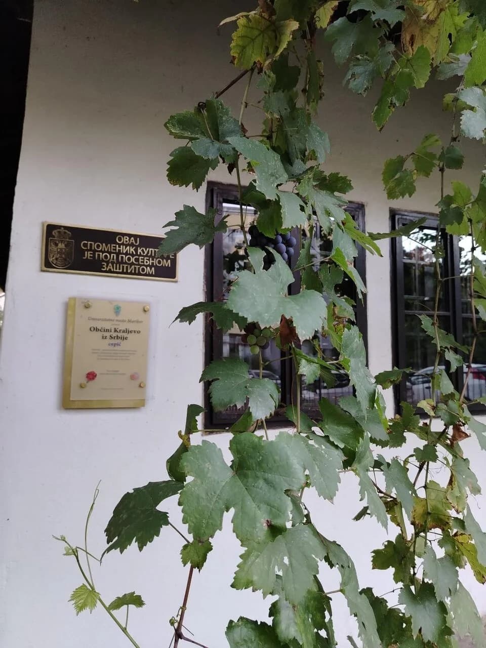 Kraljevo