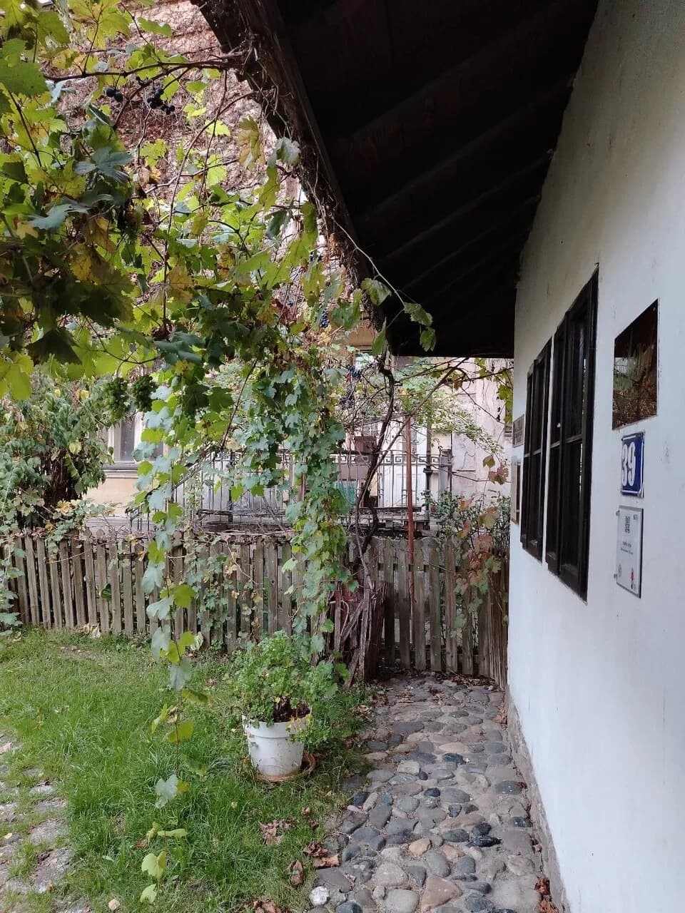 Kraljevo