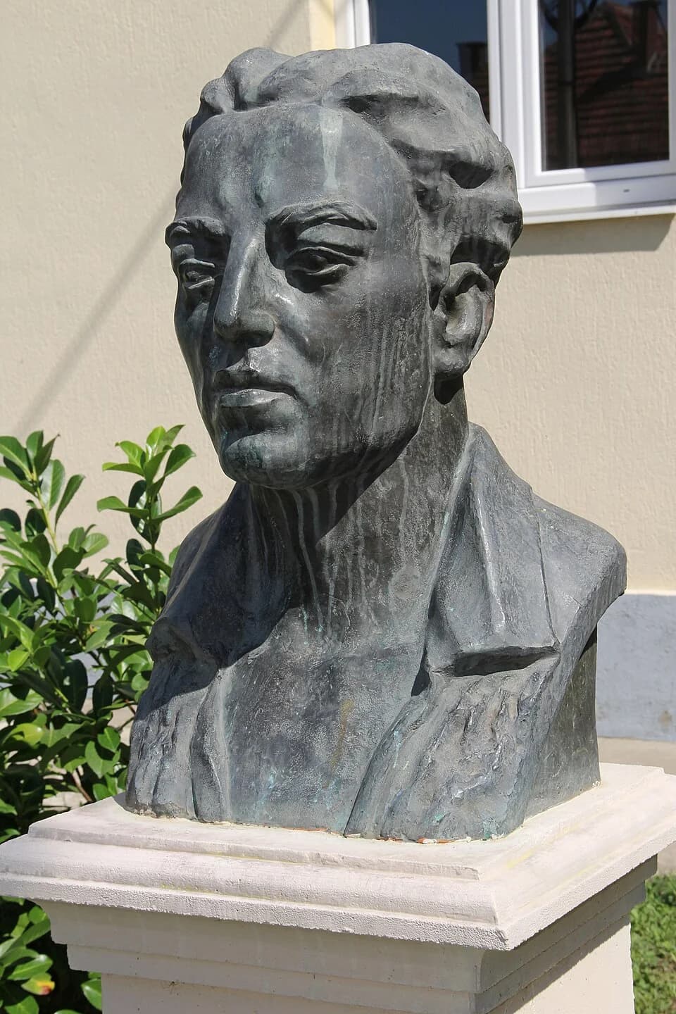 Mrčajevci