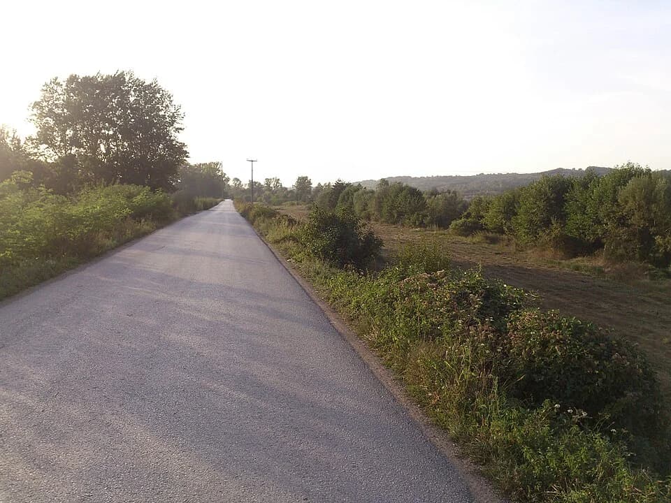 Preljina