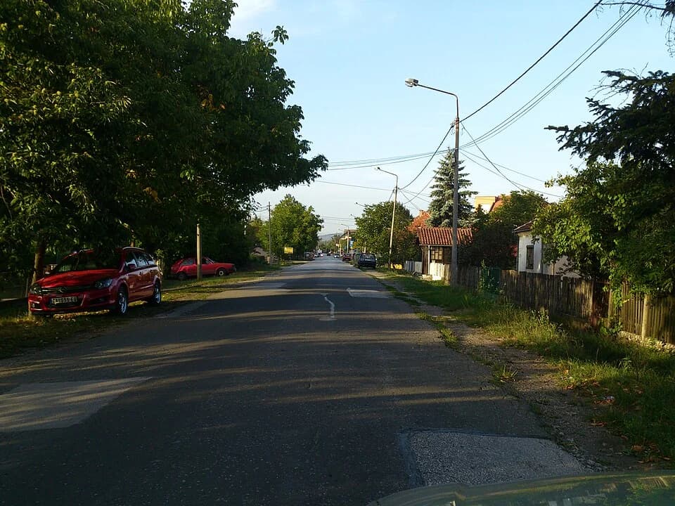 Preljina