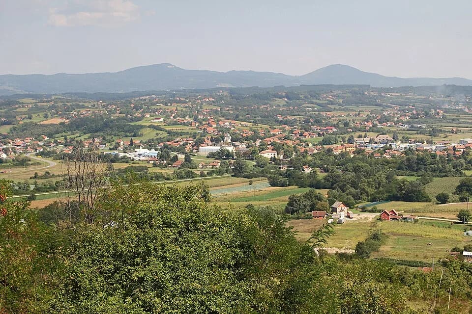 Preljina