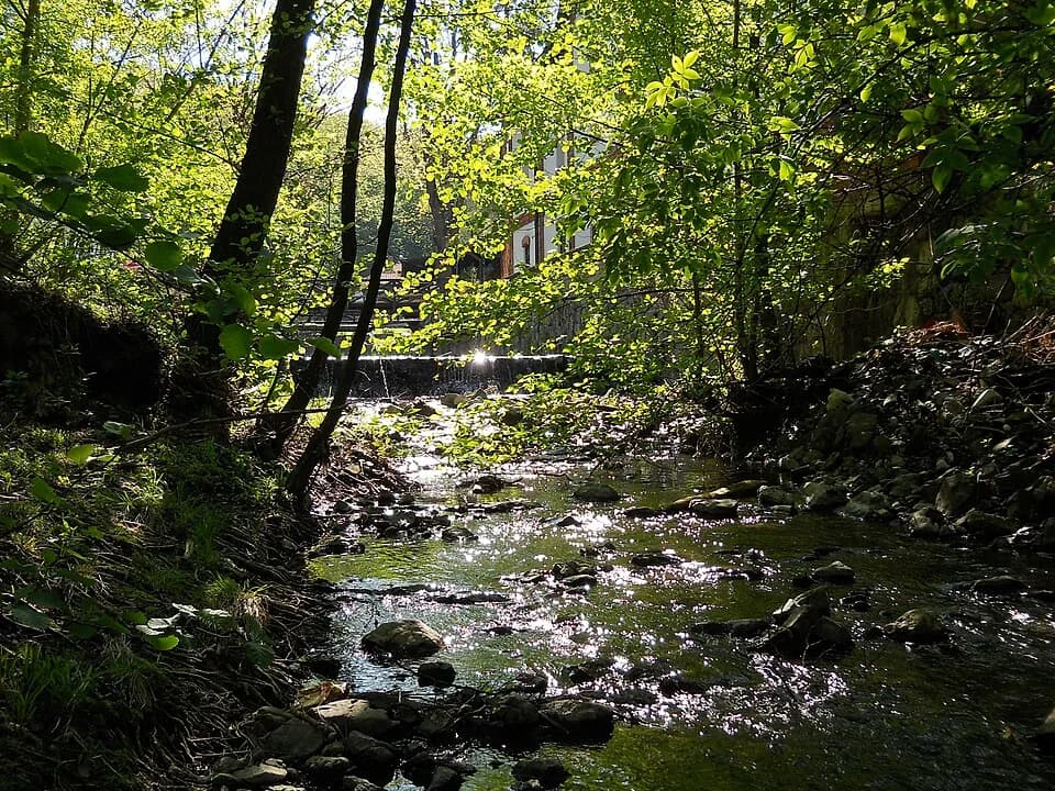 Brestovac