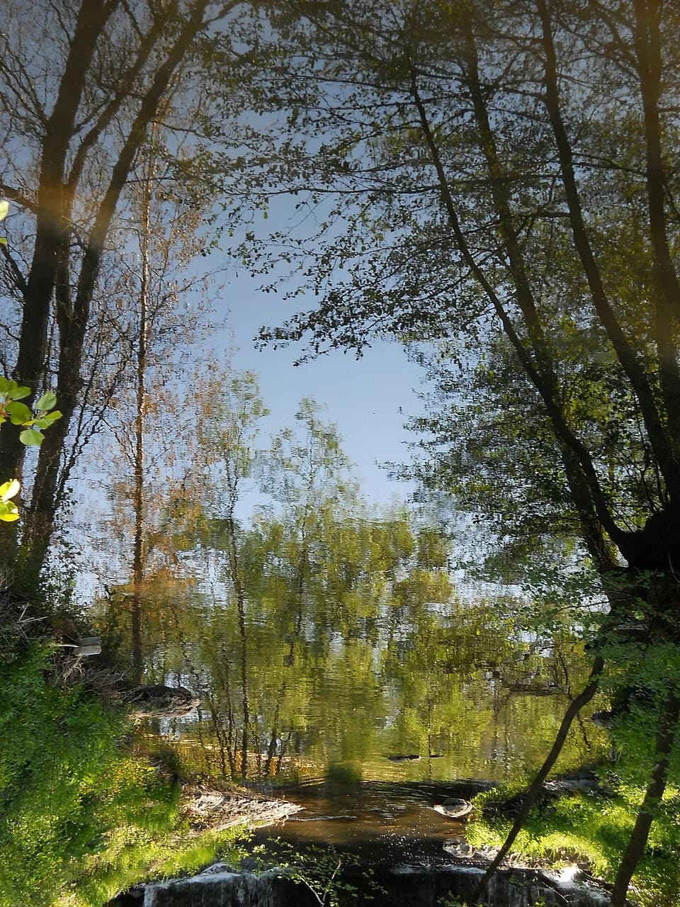 Brestovac