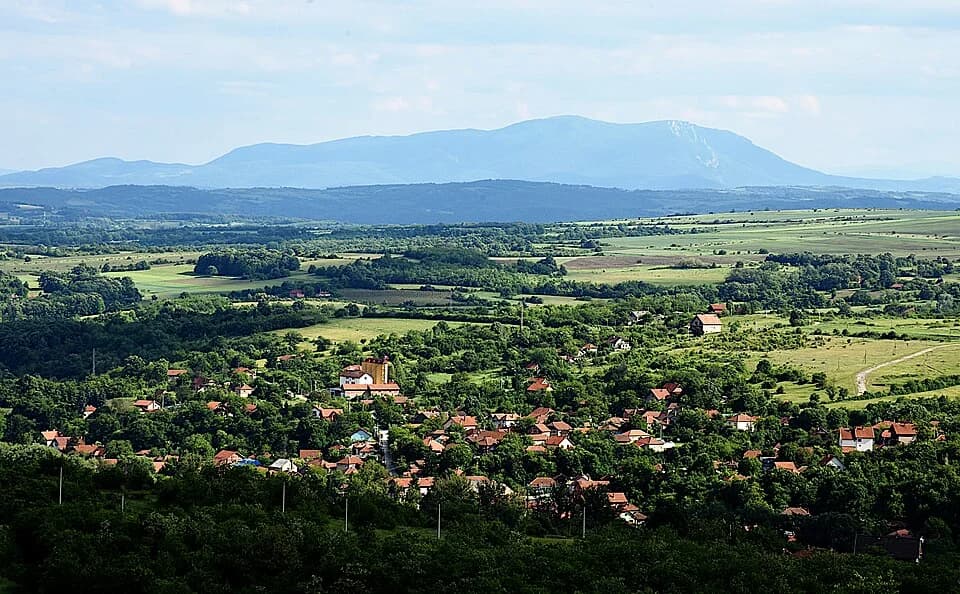 Brestovac