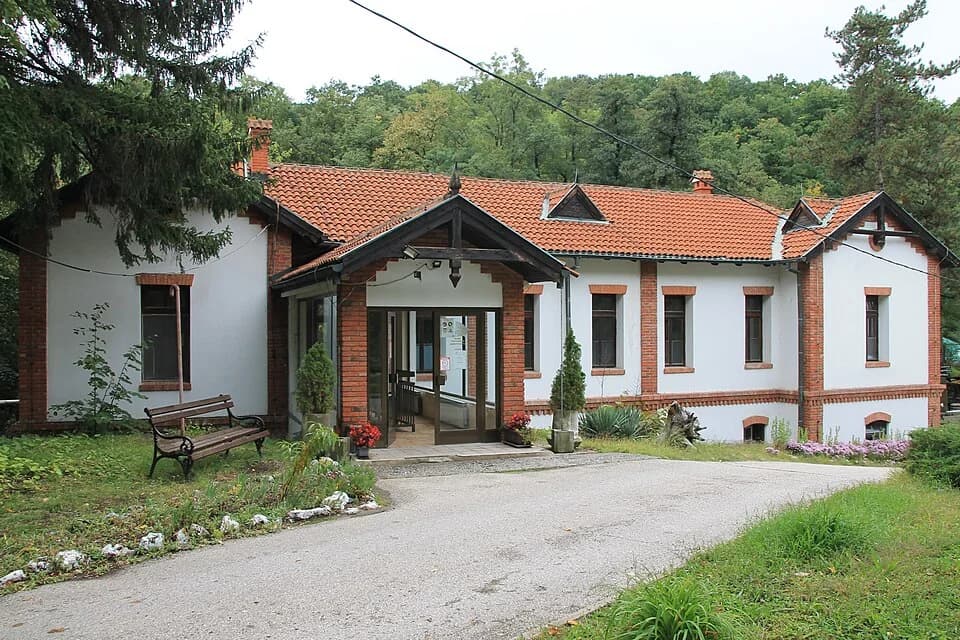 Brestovac