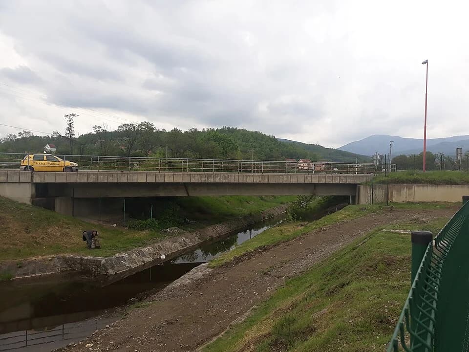 Žiča