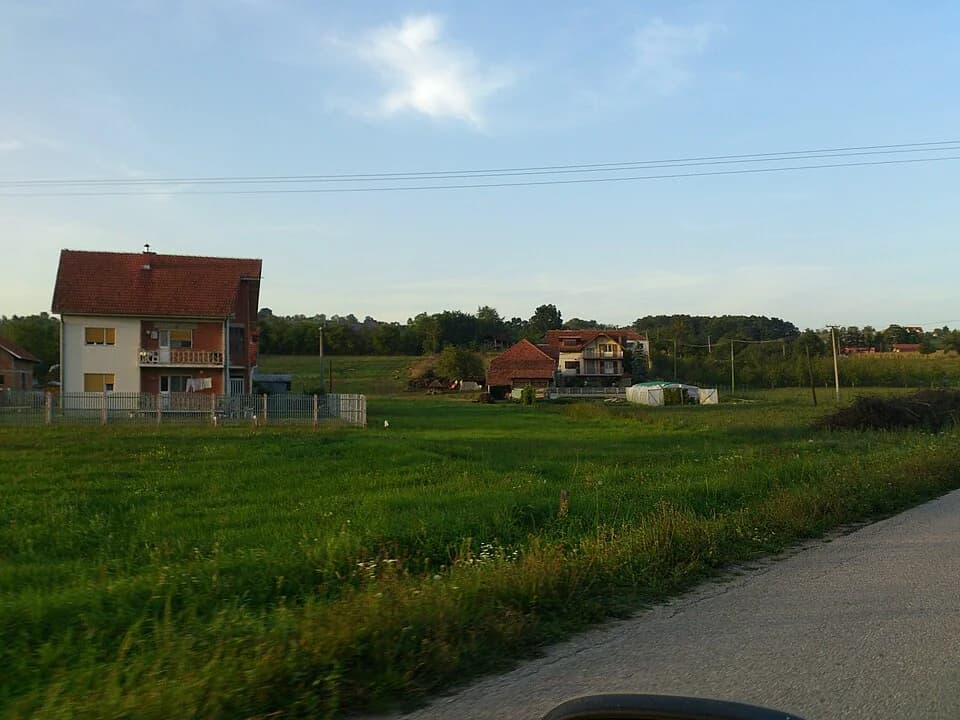 Trbušani