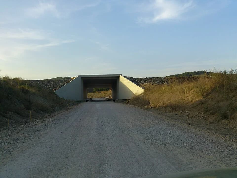 Rakova