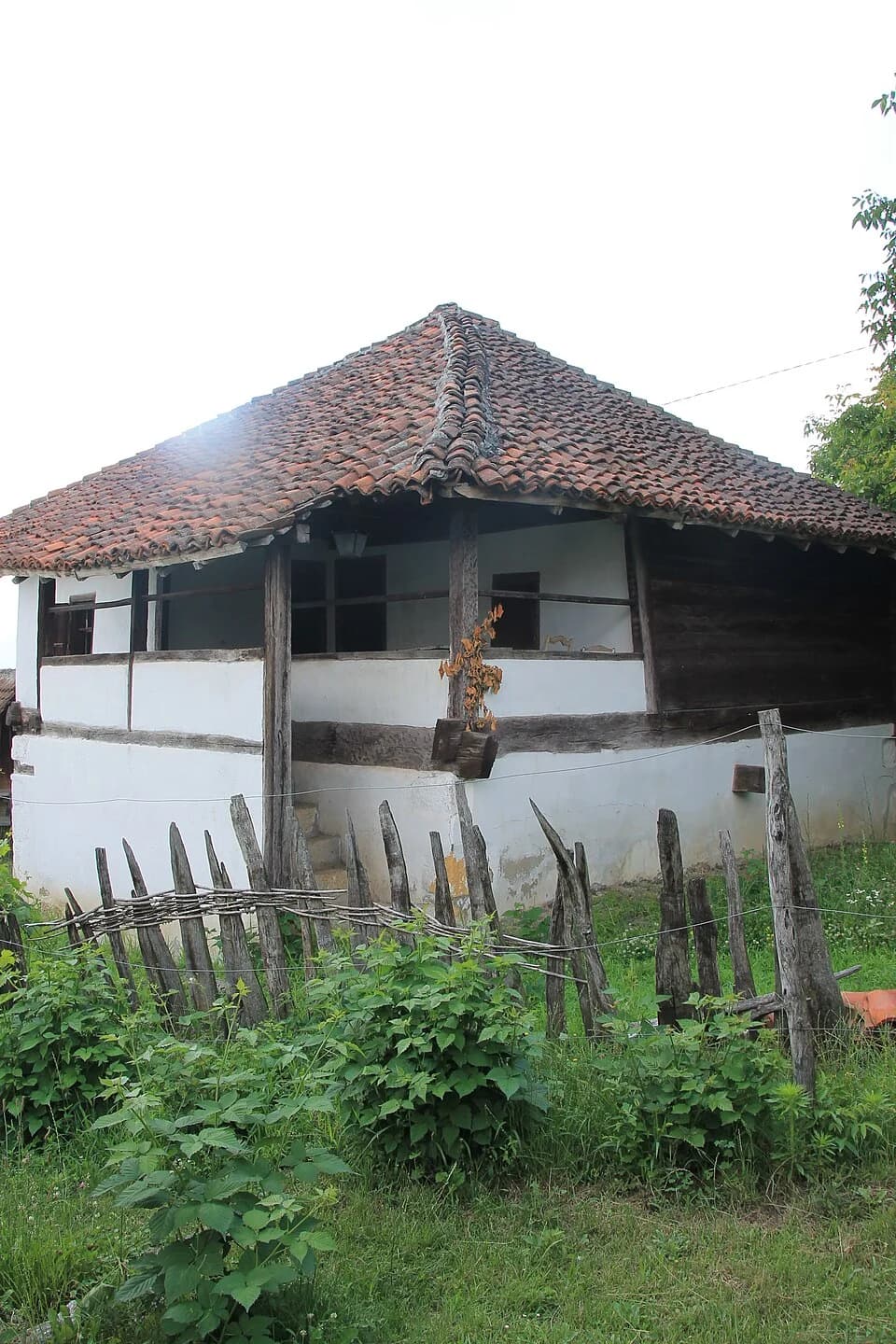 Vranići