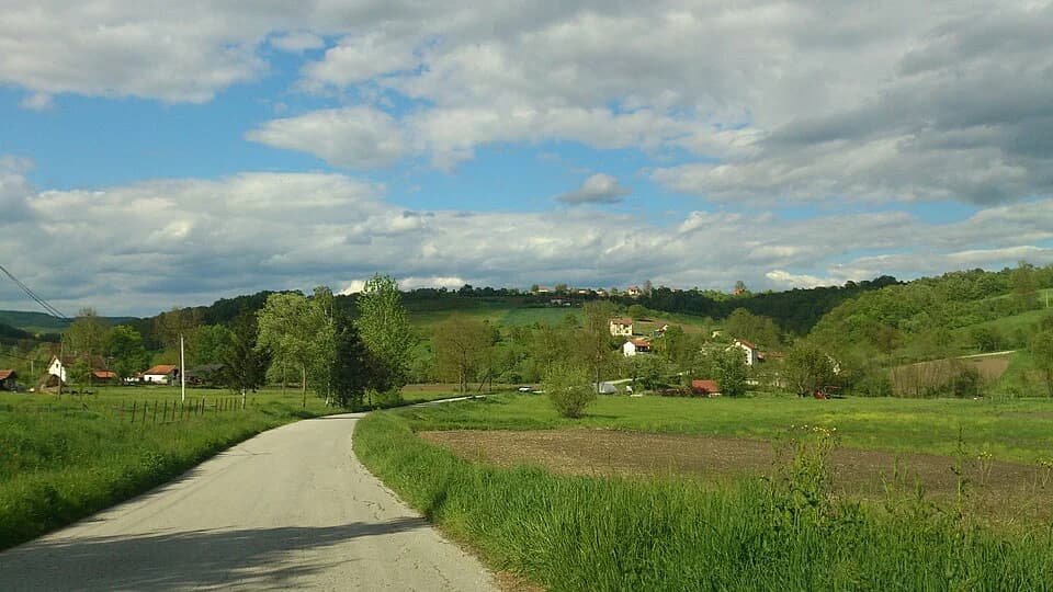 Milićevci