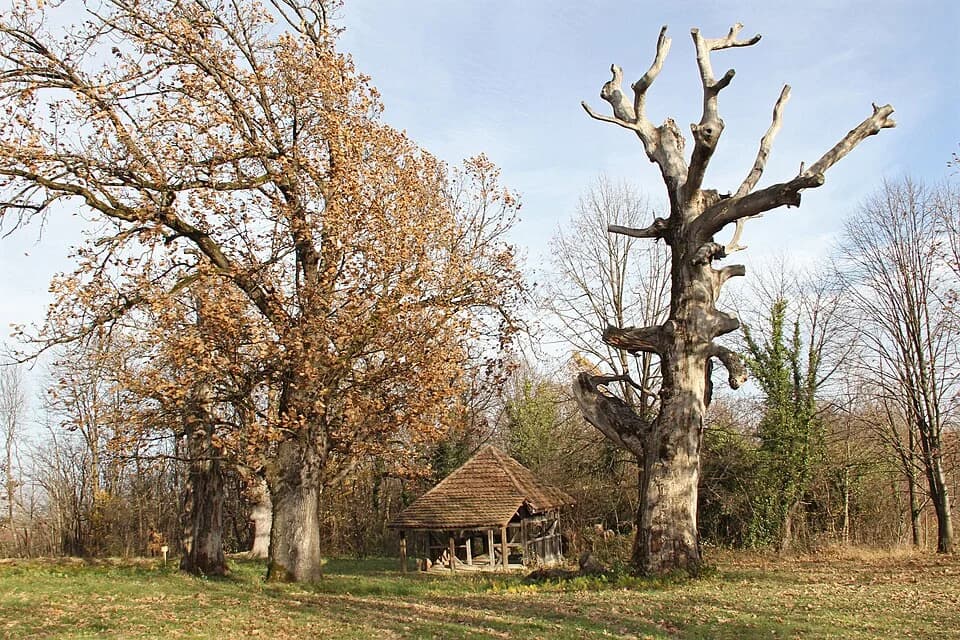 Slatina