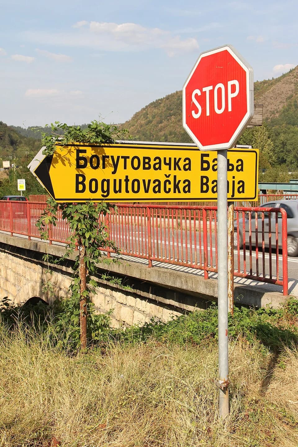 Bogutovac