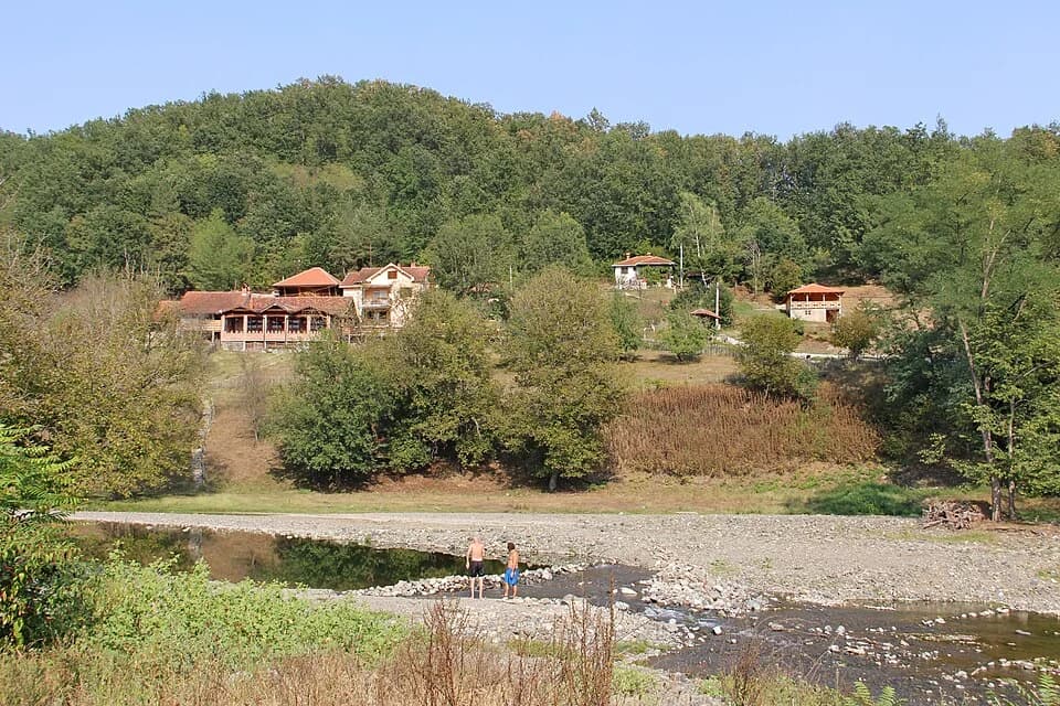 Bogutovac