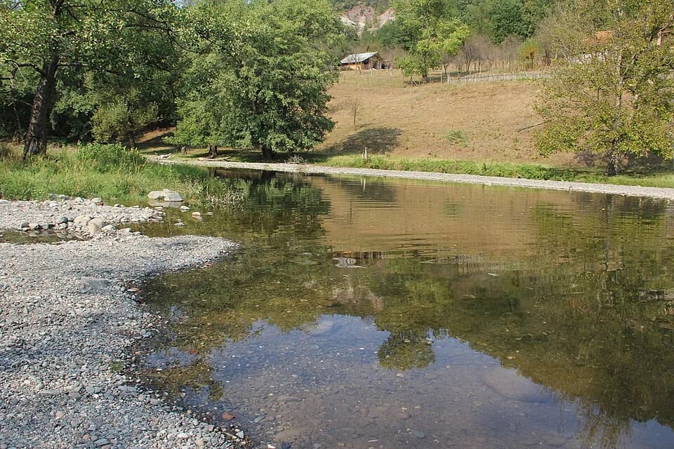 Bogutovac