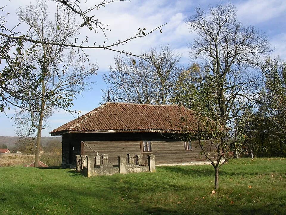 Vrba