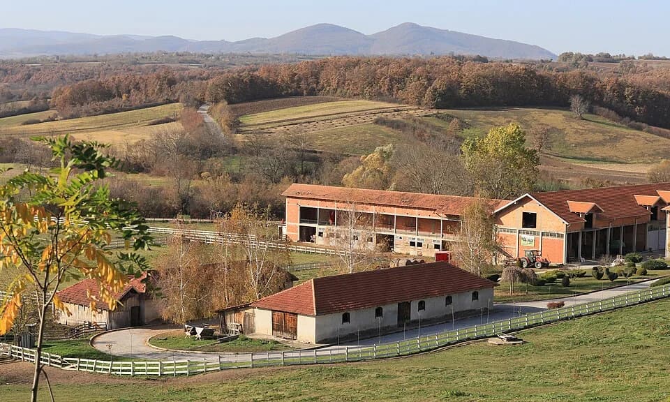 Kutlovo