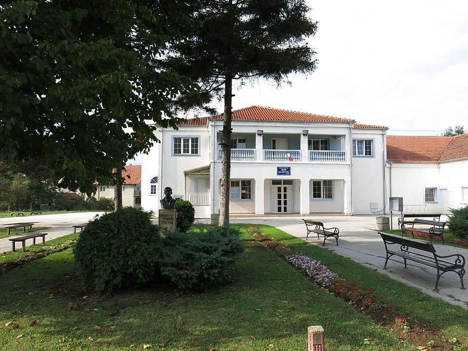 Ribare