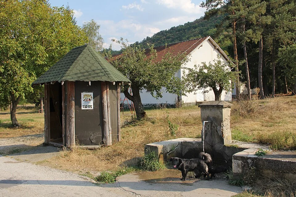 Lopatnica