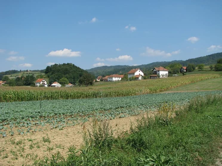 Bjelotići