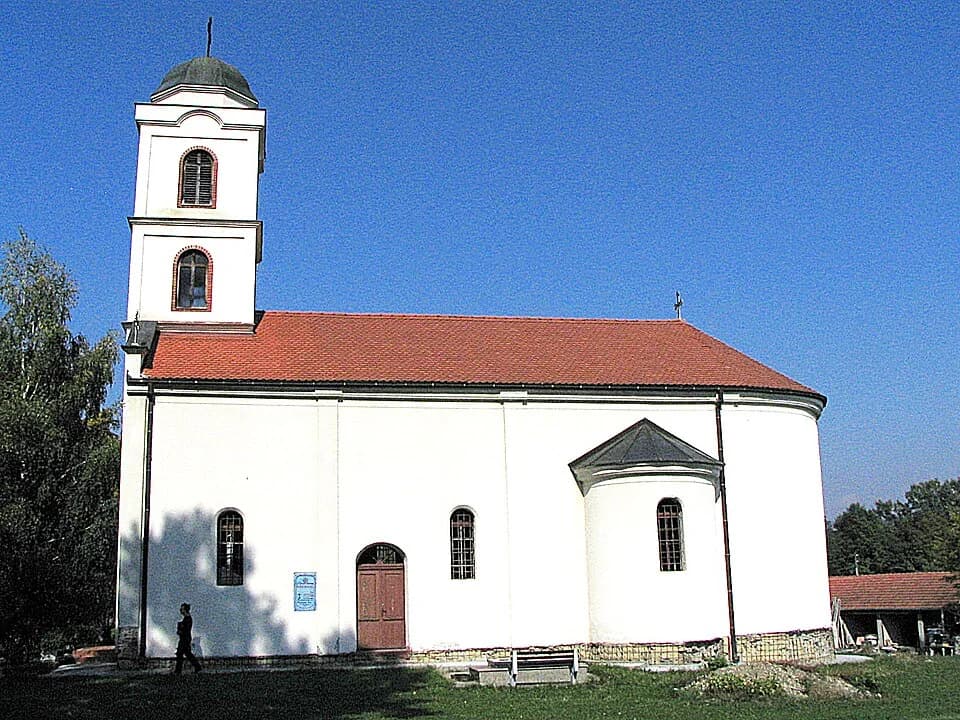 Miokovci