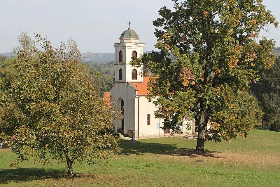 Miokovci
