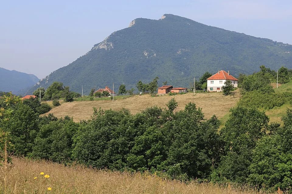 Vidova