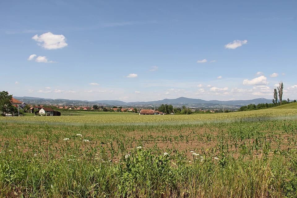 Trnava