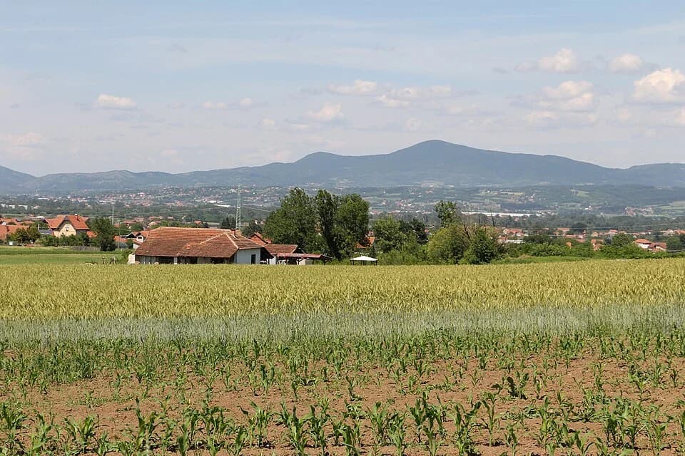 Trnava