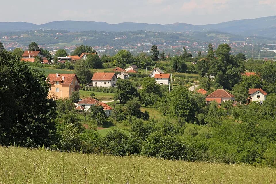 Viljuša