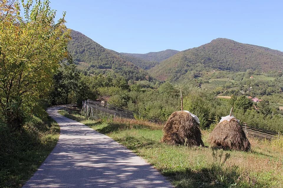 Banjica