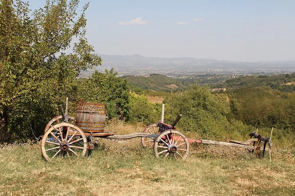 Banjica