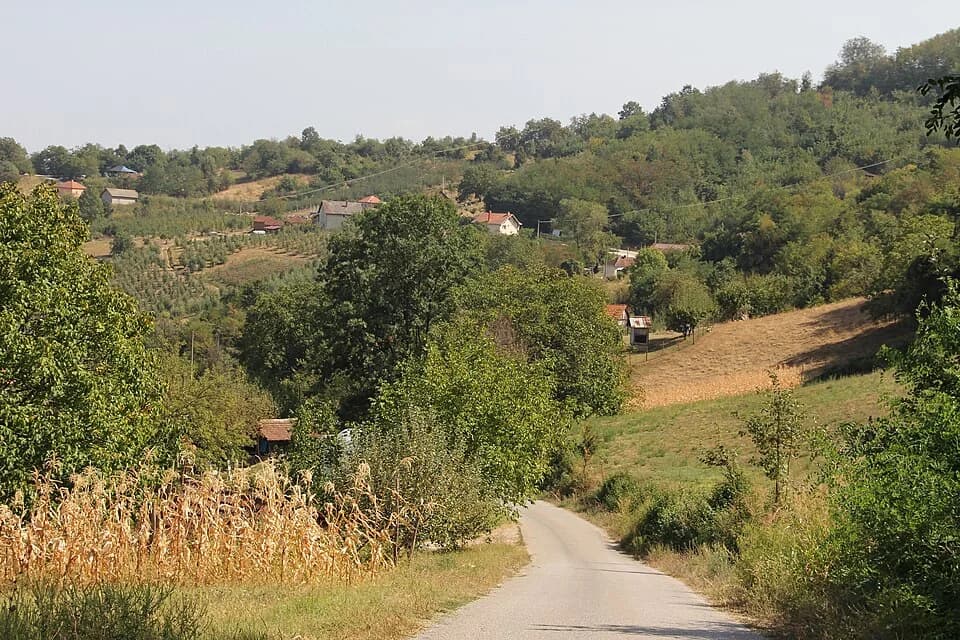 Banjica