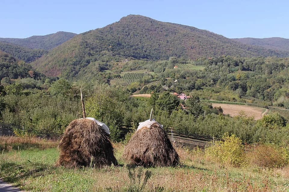 Banjica