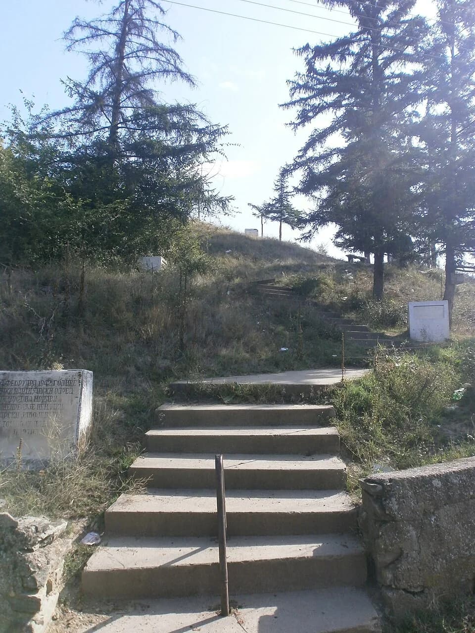 Velika Biljanica