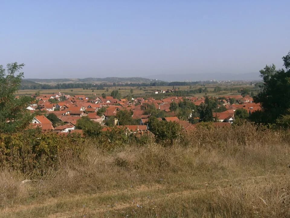 Veliko Trnjane