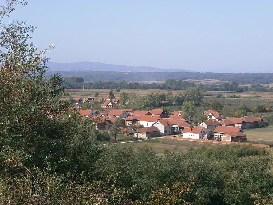 Veliko Trnjane