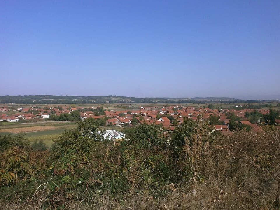 Veliko Trnjane